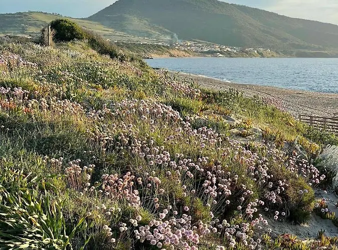 Casa de Férias Zaffiro Al Mare *